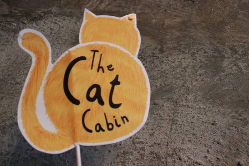 the cat cabin