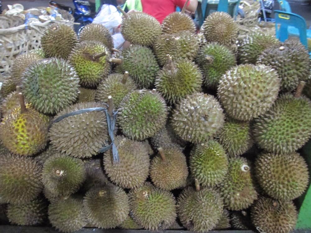 durian ucok medan