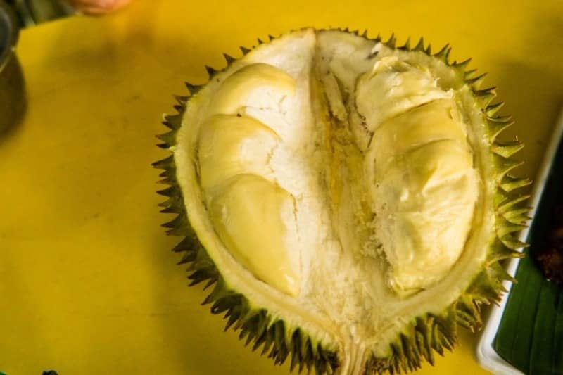durian ucok medan