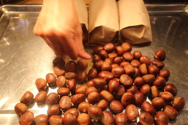 chestnut in malacca