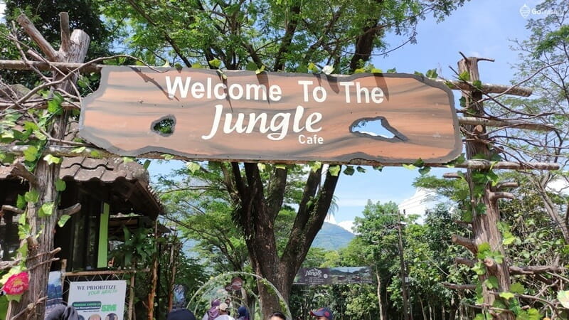 Jungle Cafe, Tempat Sempurna Untuk Nongkrong Sambil Healing