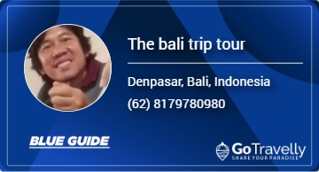 The bali trip tour