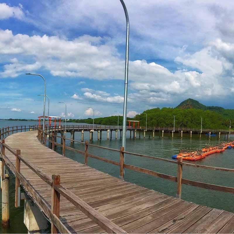 Wisata Kampung Kerapu, Penampungan Ikan yang Instagramable di Situbondo