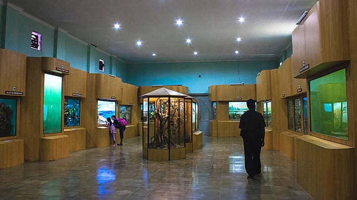museum zoologi