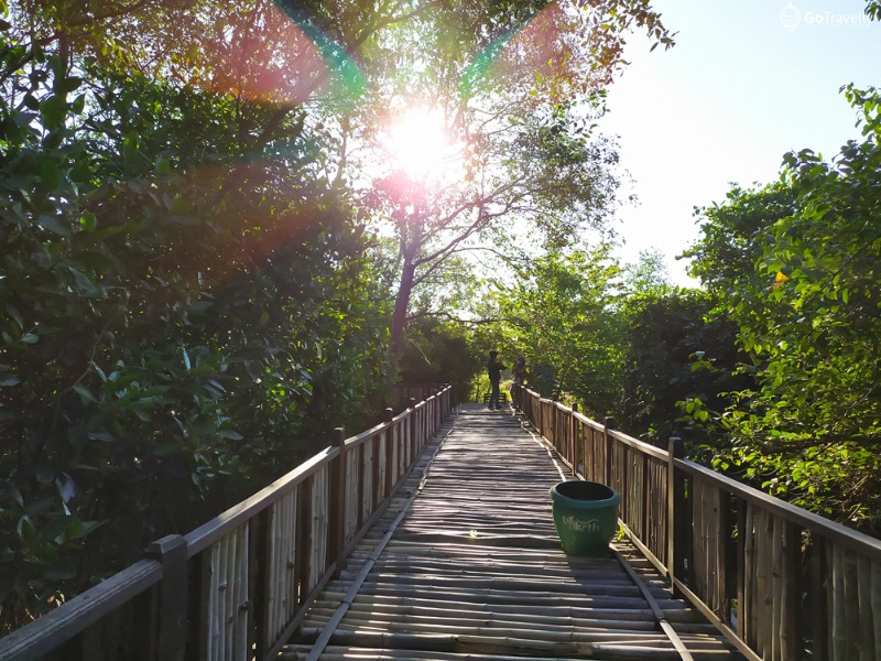 jembatan kayu di mangrove wonorejo