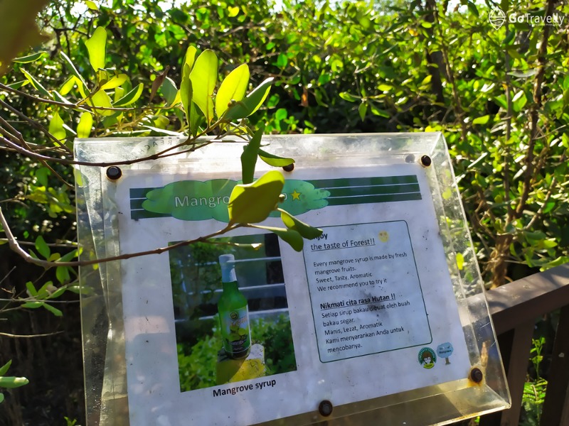 informasi seputar mangrove wonorejo