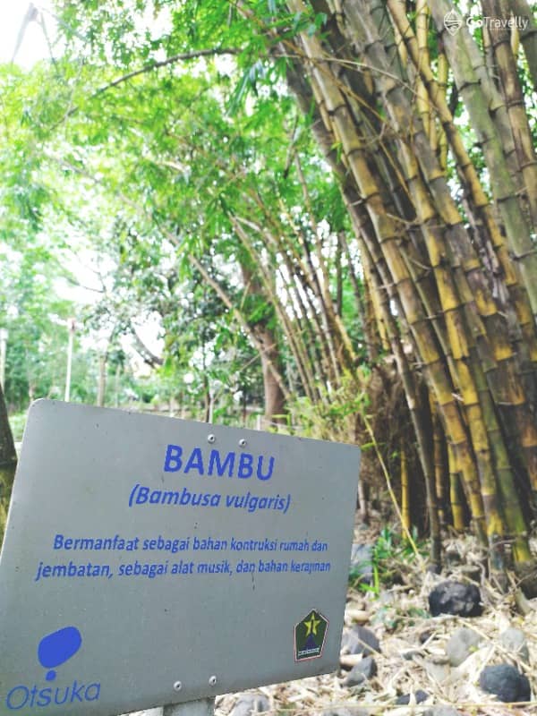 Hutan Kota Malabar Malang