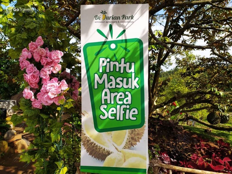 de durian park wonosalam