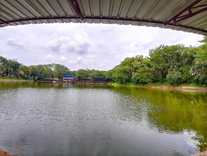  Wisata  Murah  Meriah  Danau Alam Jaya GoTravelly