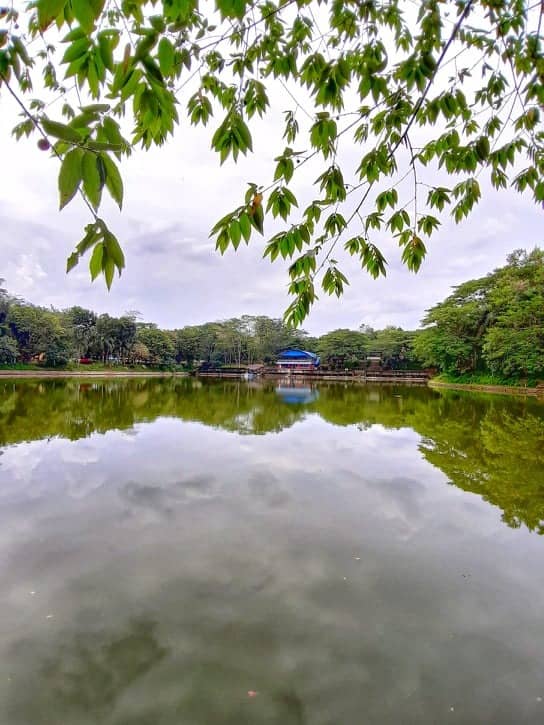  Wisata  Murah  Meriah  Danau Alam Jaya GoTravelly