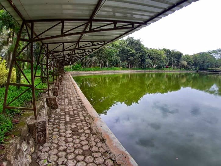  Wisata  Murah  Meriah  Danau Alam Jaya GoTravelly