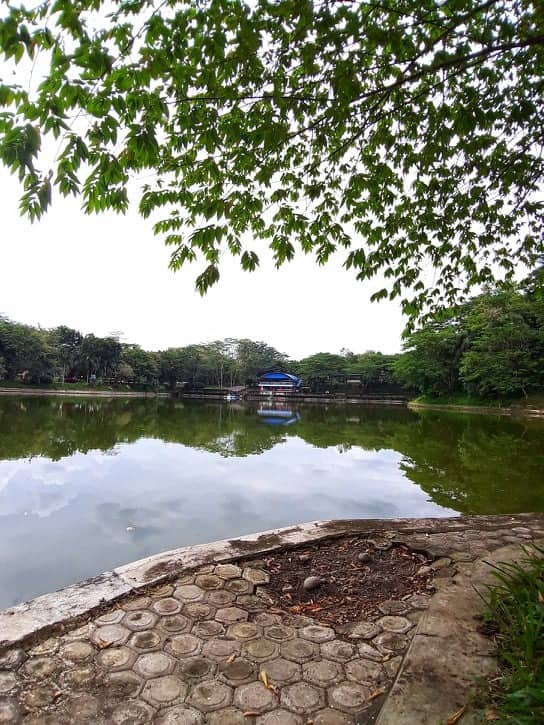  Wisata  Murah  Meriah  Danau Alam Jaya GoTravelly