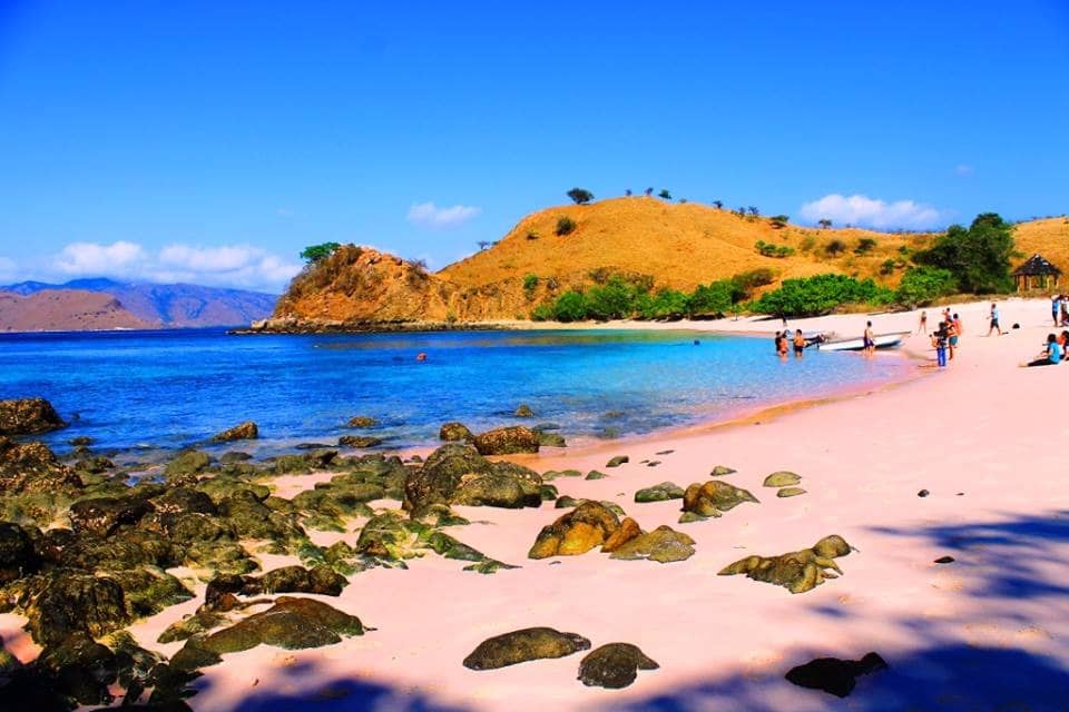 Pantai Pink di Pulau Komodo