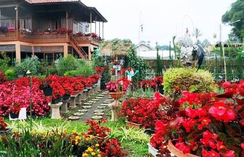the lodge maribaya lembang