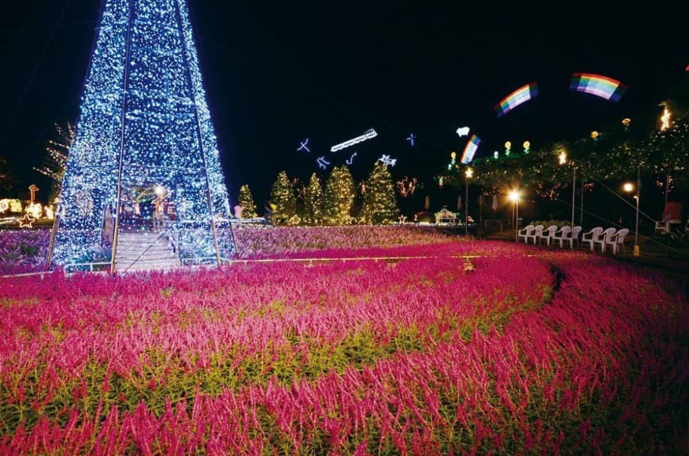 ashikaga flower garden