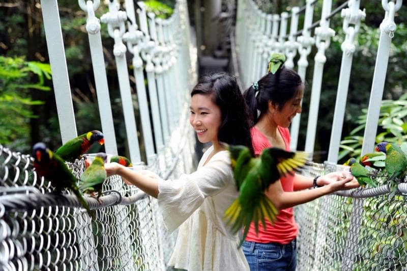 jurong bird park singapore