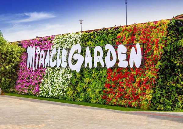 dubai miracle garden