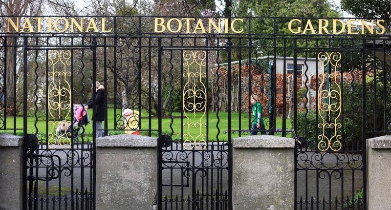 national botanic garden dublin