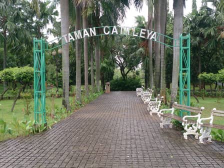 Taman Cattleya