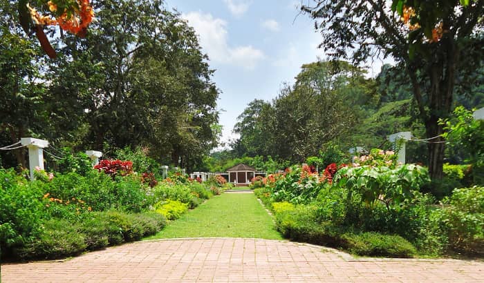penang botanical garden