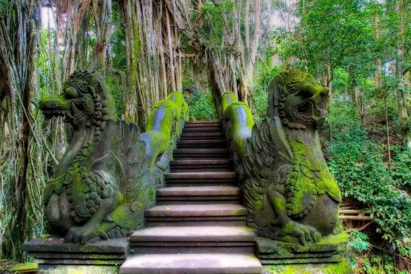 Ubud Monkey Forest, Hutan Kera Suci Ubud yang wajib dikunjungi