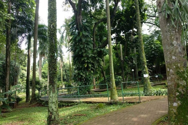 taman langsat jakarta selatan