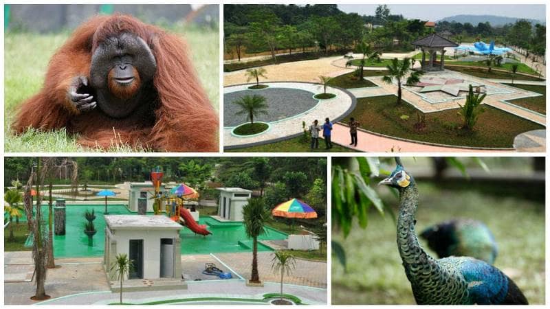 Kebun Binatang Semarang