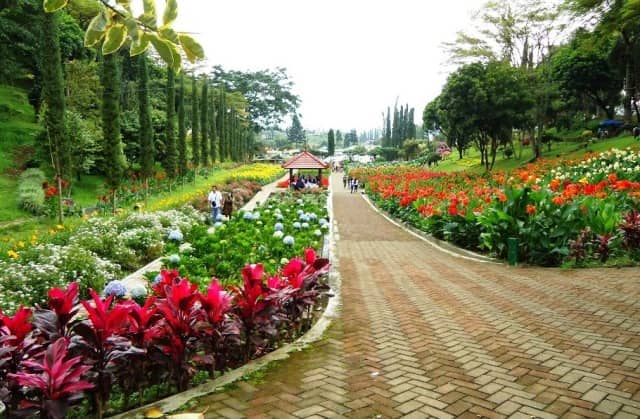 Pemandangan Yang di Suguhkan