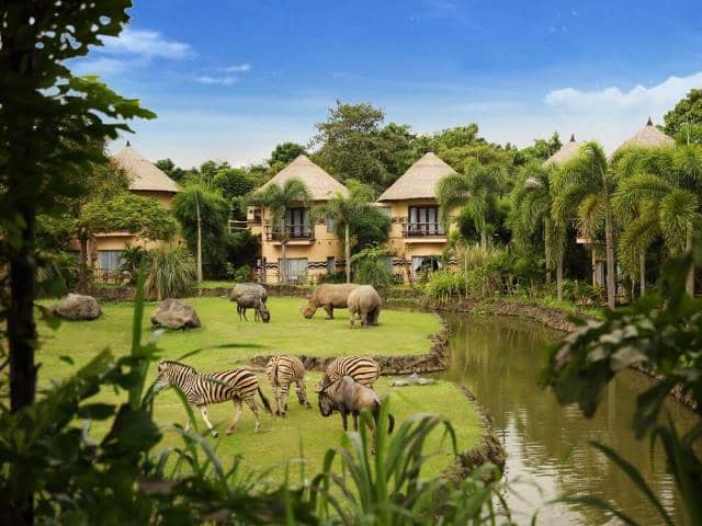 Bali Safari