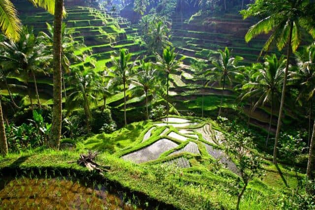 Objek wisata Ubud Bali