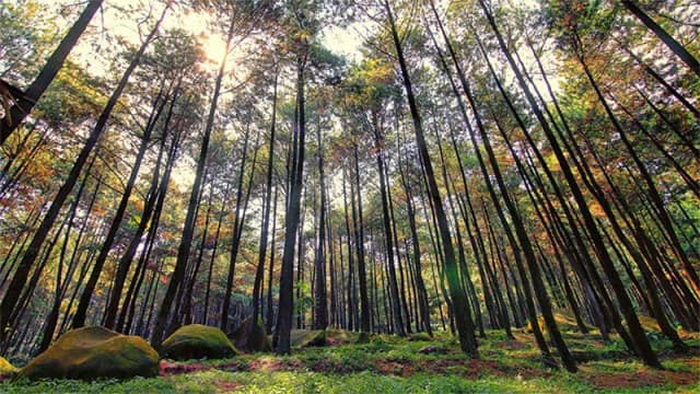 Wisata Alam Gunung Pancar