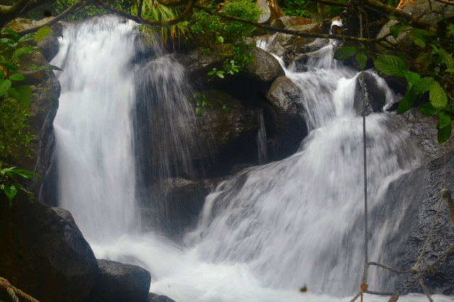 Curug Ciherang dan Rumah Pohon Bogor