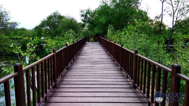 Indahnya Wisata Mangrove Surabaya Rute Lokasi Wisata 