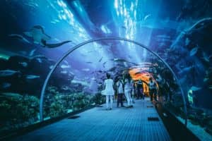 Jakarta Aquarium