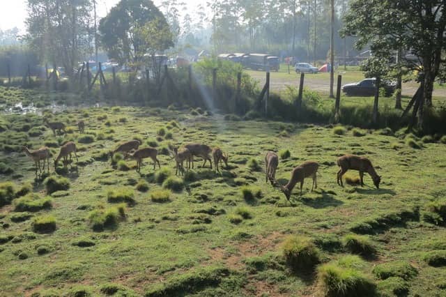 Kampung Cai Ranca Upas