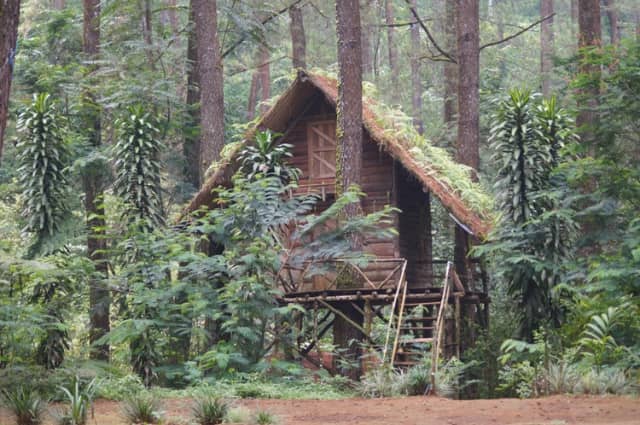 Rumah Pohon Taman Buru Gunung Mesigit Kareumbi