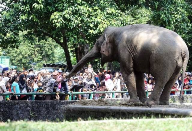 Taman Margasatwa Ragunan