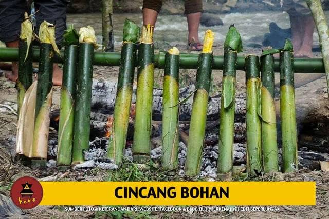 Cincang Bohan