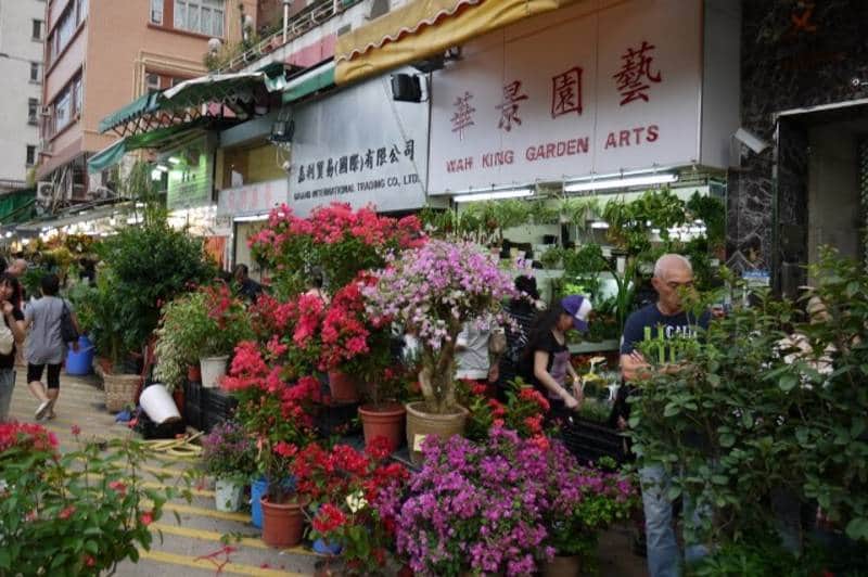 Flower Market Road