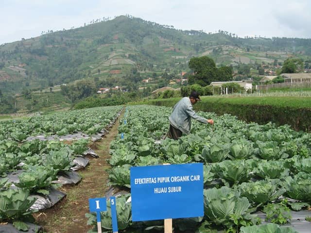 lokasi Balitsa Lembang