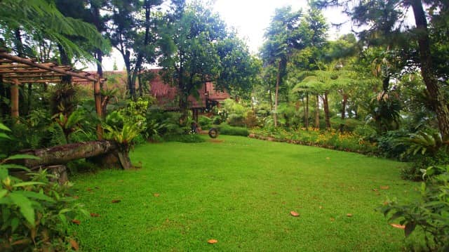 Tempat Wisata Romantis Di Bogor