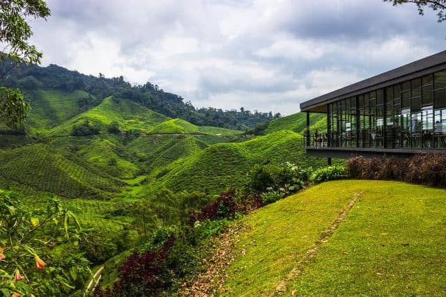 Cameron Highlands