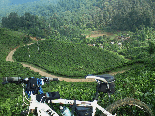 Gunung Halimun