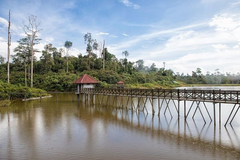 Kebun Raya Balikpapan