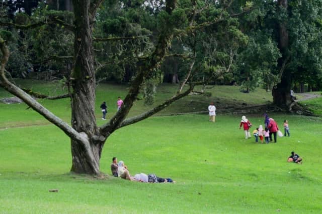 Kebun Raya Cibodas