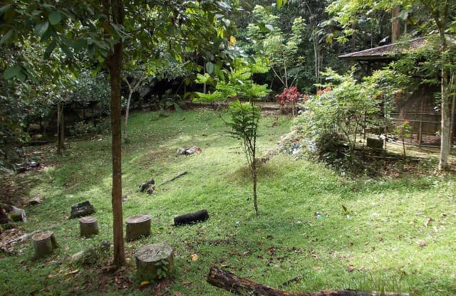 Kebun Raya Unmul Samarinda