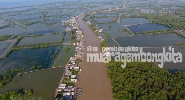 Pantai dan Hutan Mangrove Muara Gembong