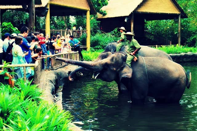  tempat wisata di Singapore