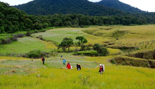 Tegal Panjang