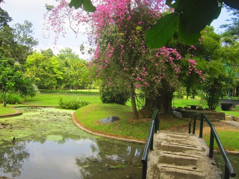 Kebun Raya Purwodadi